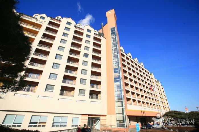 양지파인리조트 외관2