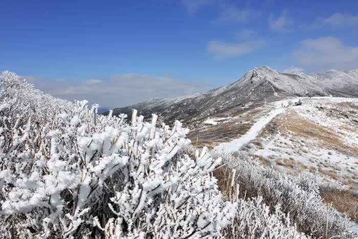 황매산군립공원(10)