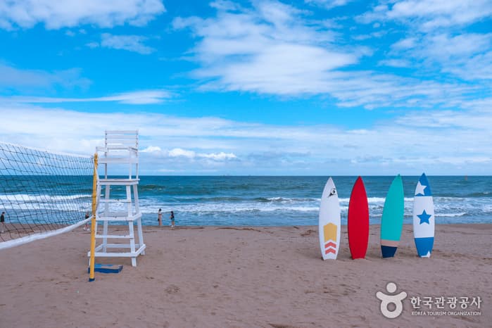 여기가 ‘버터’ 촬영지 맞나요? BTS 순례지로 다시 태어난 삼척 05
