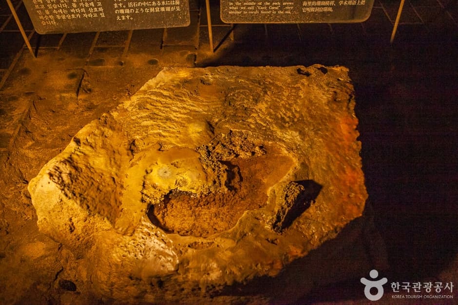 협재굴(한림공원) (18)