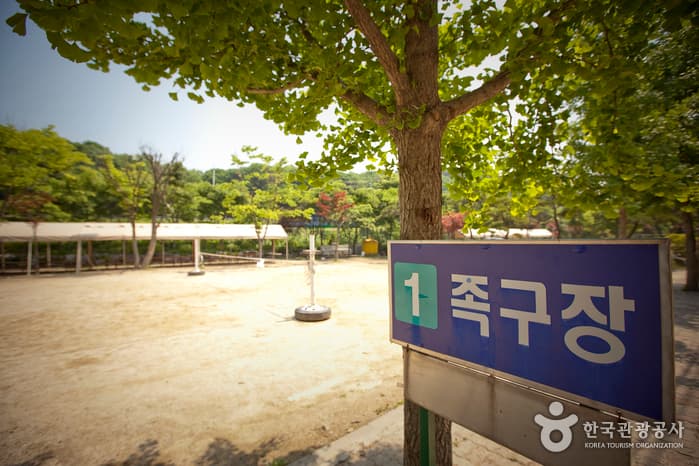 경기도_양주시_신흥유원지(신흥레저타운)09