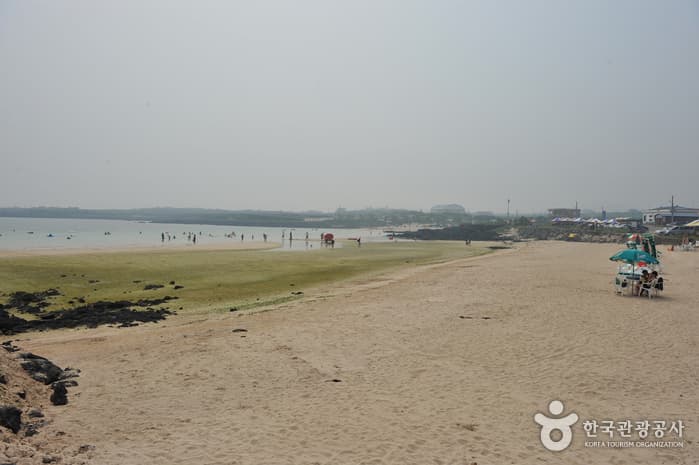 하고수동해수욕장