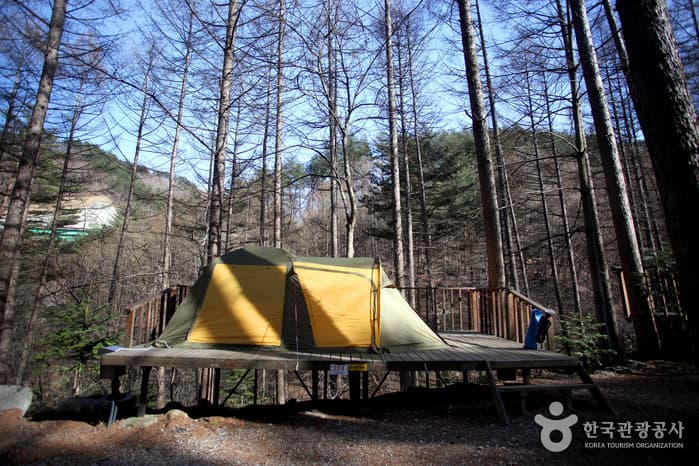 경북_봉화_청옥산자연휴양림10