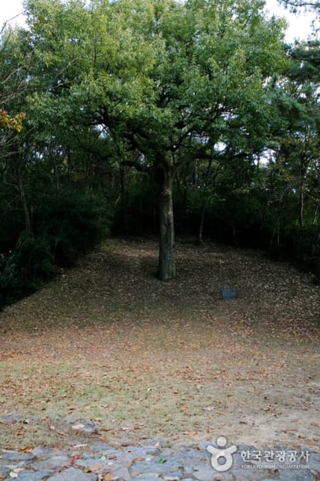 전남_담양_면앙정02