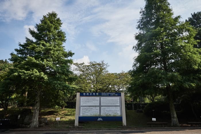 한국문화정보원_한라수목원_002