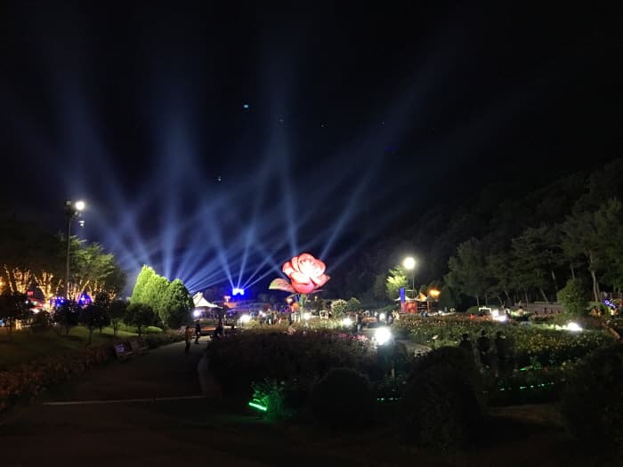  울산대공원 장미축제 2019_교체(3)