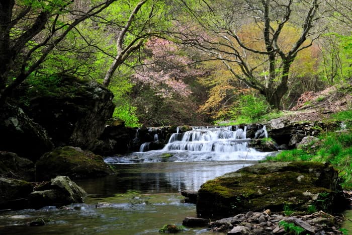 강천산 군립공원(3)