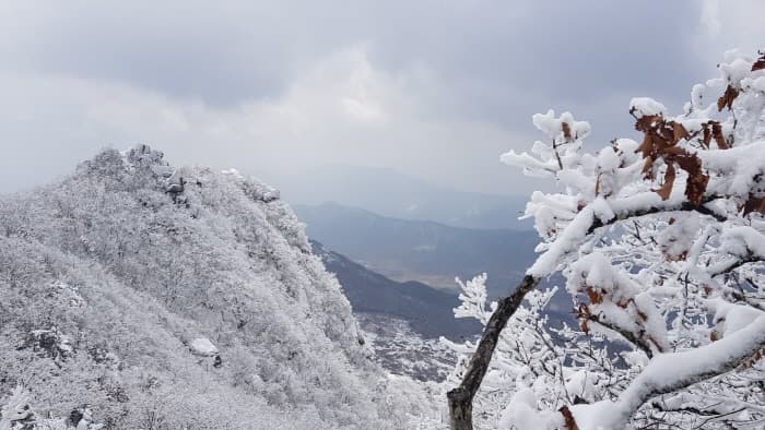 황매산군립공원(9)