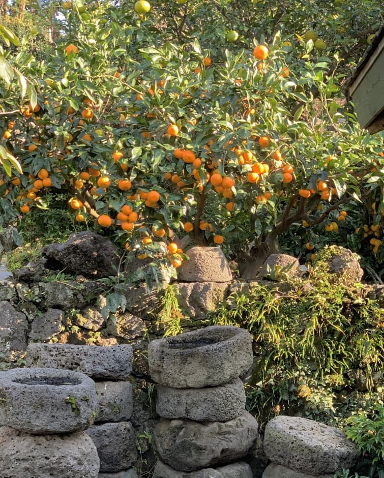 Seokbujak Museum (석부작박물관)