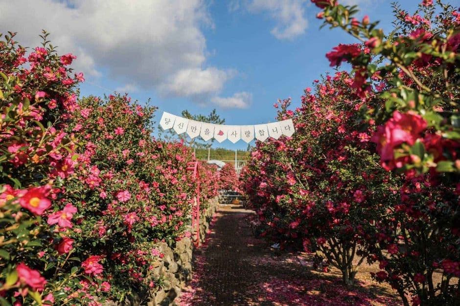 제주_휴애리자연생활공원 (1)