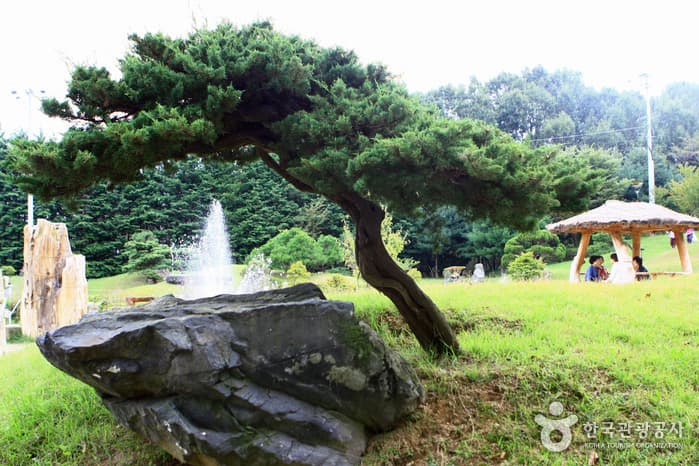 물향기수목원38