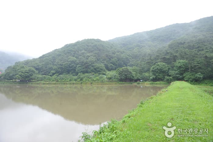 용천사꽃무릇공원