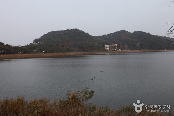 Hwajinpo Lake (화진포(화진포호))