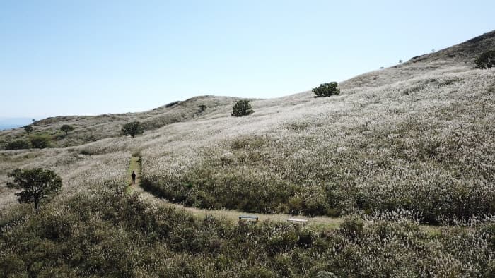 황매산군립공원(2)