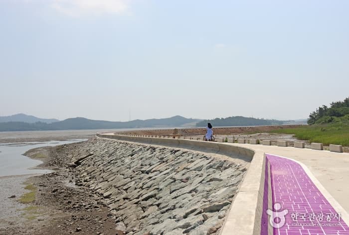 전남_신안_반월도·박지도_퍼플섬 마을 풍경2