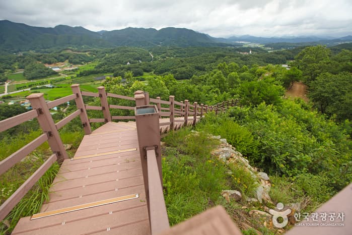 충북_보은_[마이리틀시티] 힐링이 체질이라, 비 내려도 예쁜 보은 여행_13