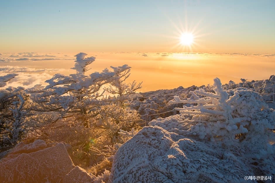 Hallasan Mountain [National Geopark] (한라산 (제주도 국가지질공원))
