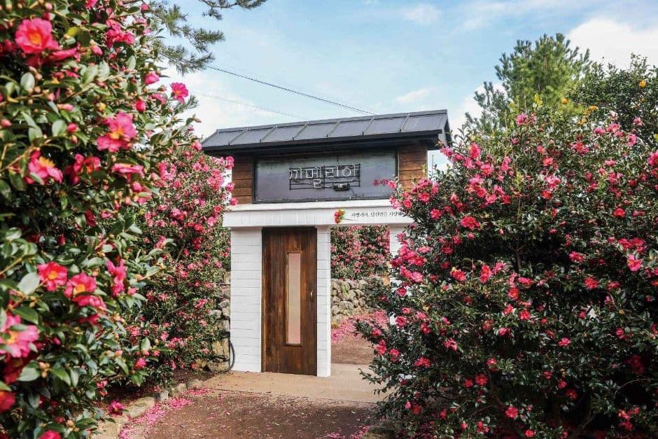 제주_휴애리자연생활공원 (2)