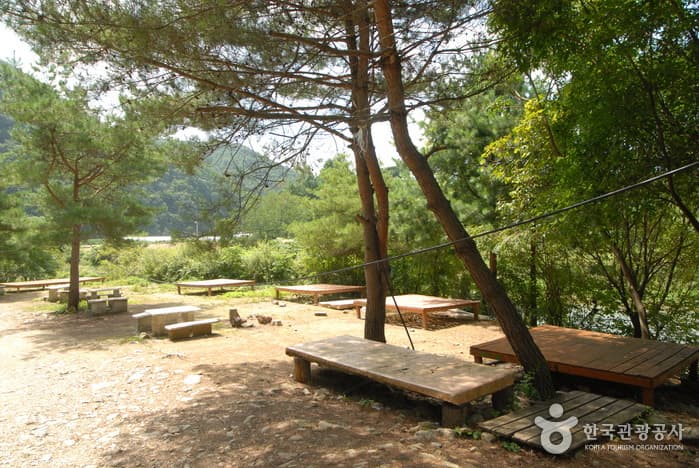 주천강휴양림_19