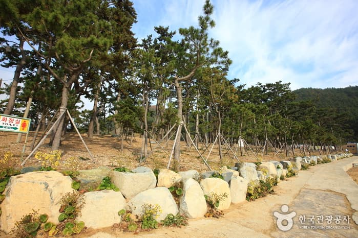 방죽포해수욕장_26