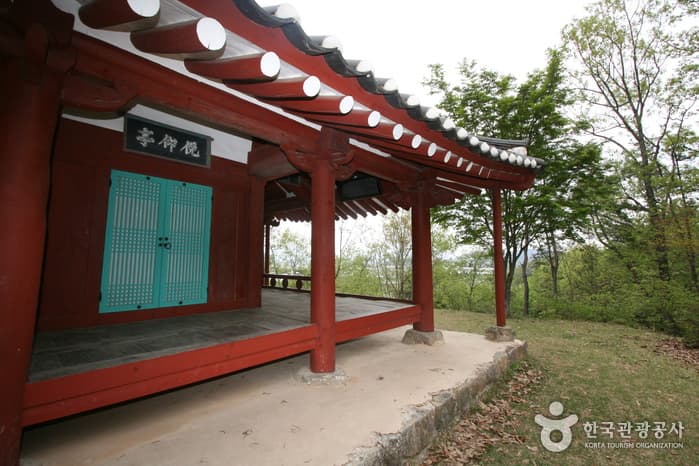 전라남도 담양군 면앙정_10