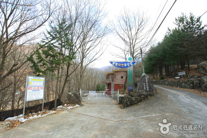 원동자연휴양림_001