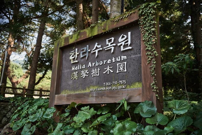 한국문화정보원_한라수목원_004