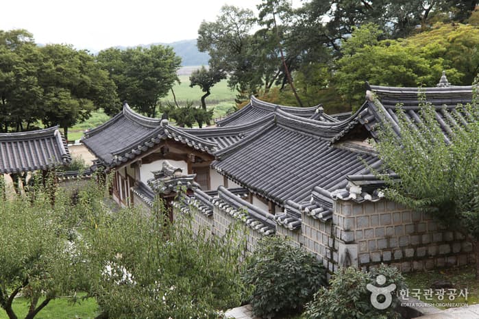 지역콘텐츠팀_경북_안동_이성원 명사_16