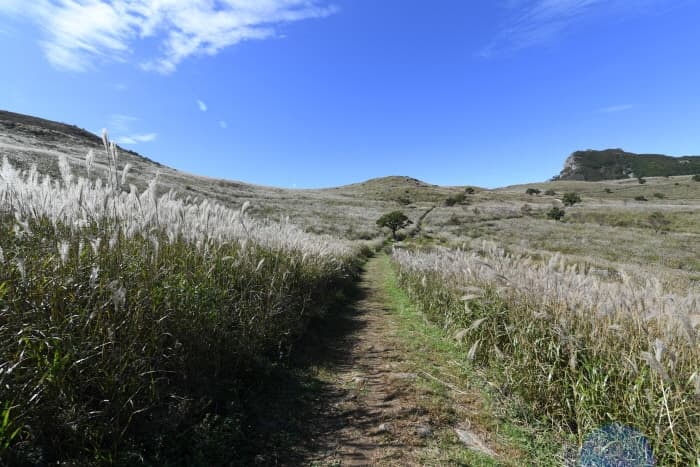 황매산군립공원(7)