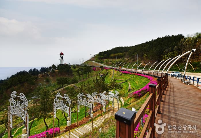 영덕해맞이공원_01