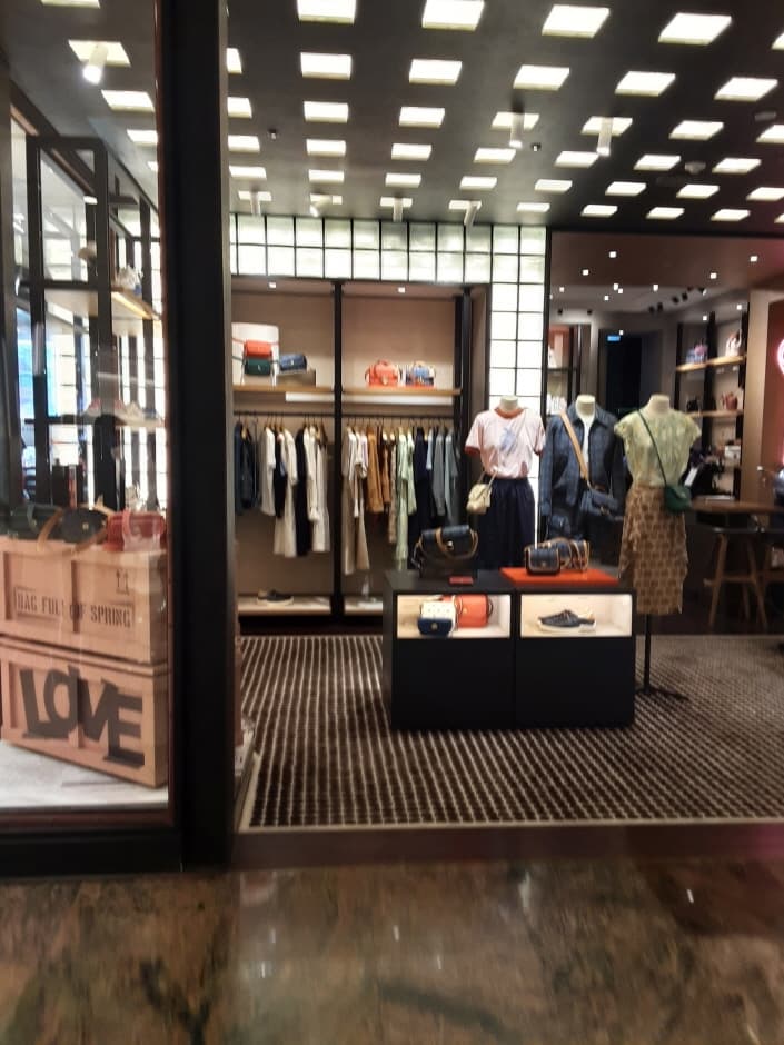 코우치 롯데본점_3