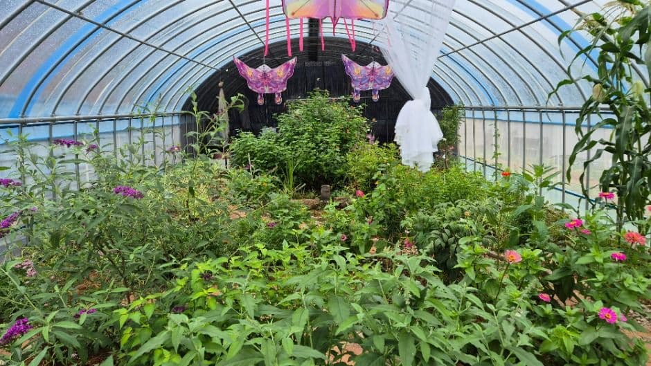 순천_순천곤충박물관 (1)