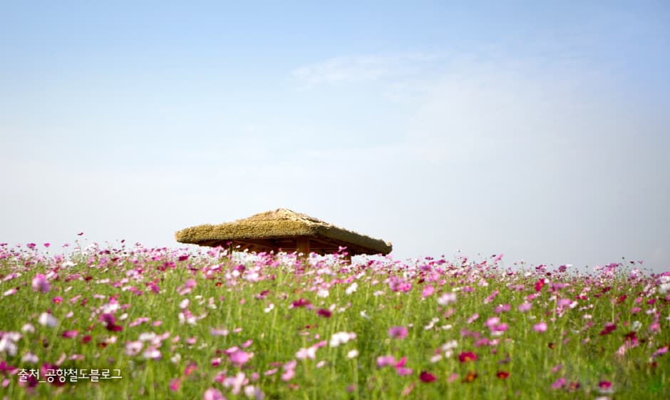 Sudokwon Landfill Site Wildflower Complex Dream Park (수도권 매립지 야생화단지 드림파크)
