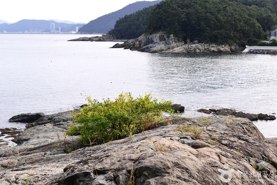 Mosageum Beach (모사금해수욕장)