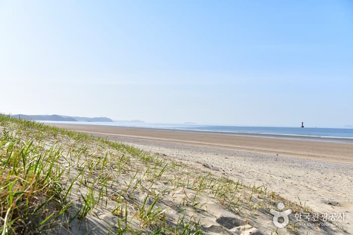 Sambong Beach (삼봉해수욕장)
