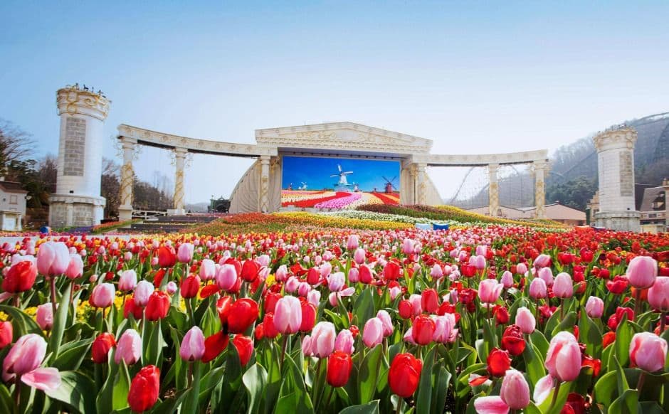 Everland (에버랜드)