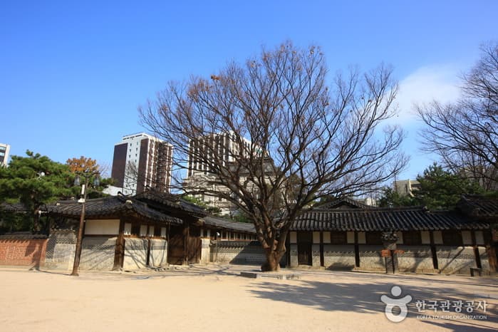 Unhyeongung Royal Residence (서울 운현궁)