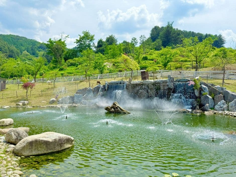 가평_가평베고니아새정원 (4)