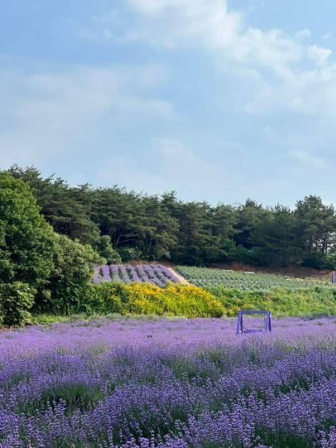 고창_고창 청농원 (6)