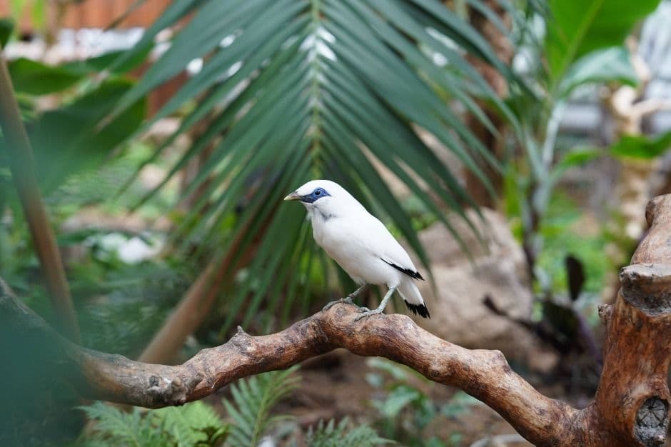가평_가평베고니아새정원 (6)