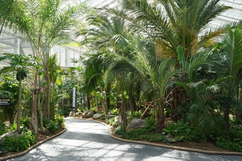 가평_가평베고니아새정원 (7)