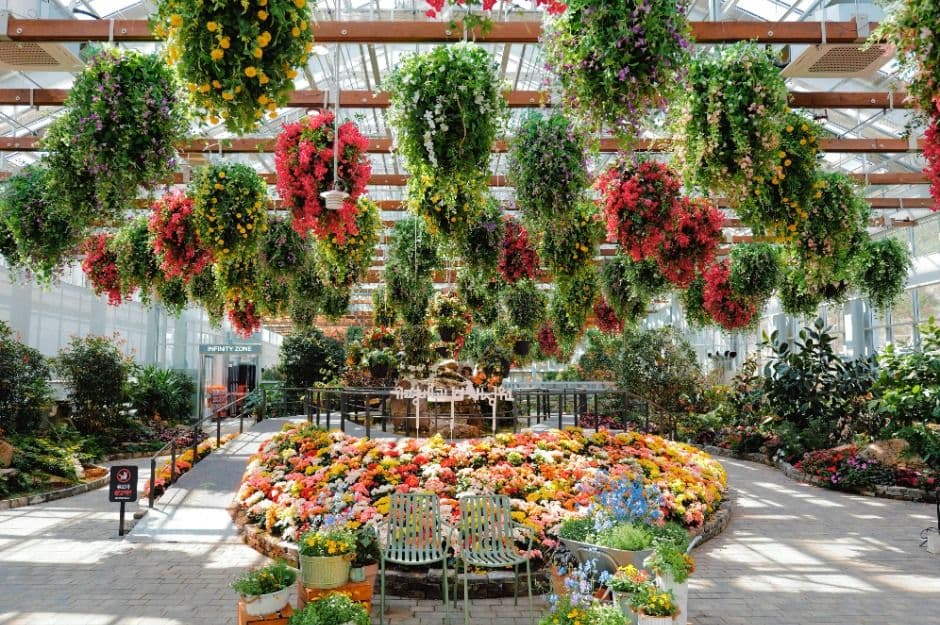 가평_가평베고니아새정원 (8)