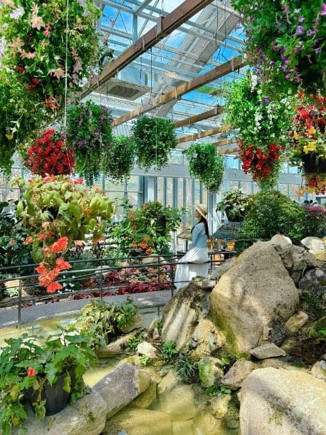 가평_가평베고니아새정원 (9)