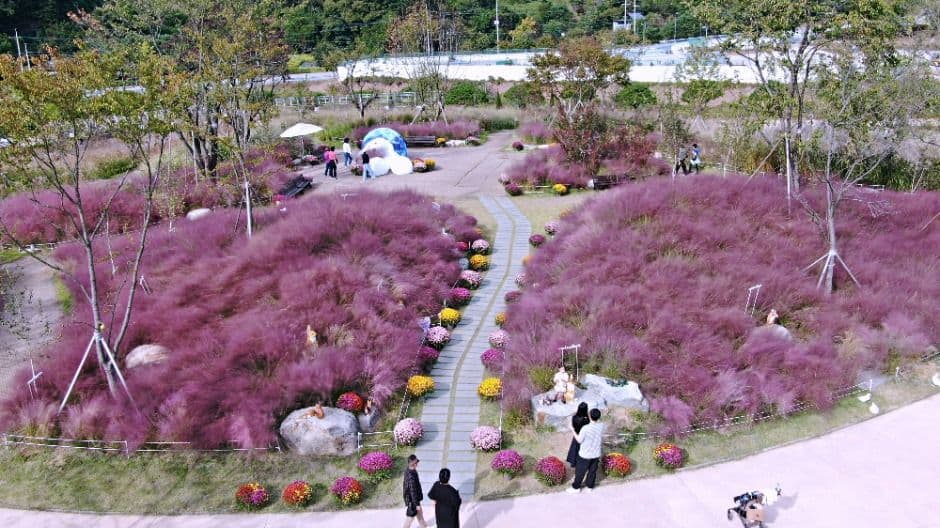 가평_가평베고니아새정원 (11)